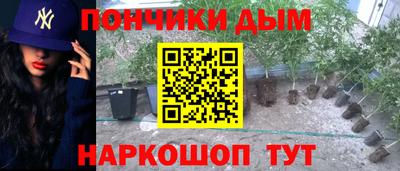 дмт Краснознаменск