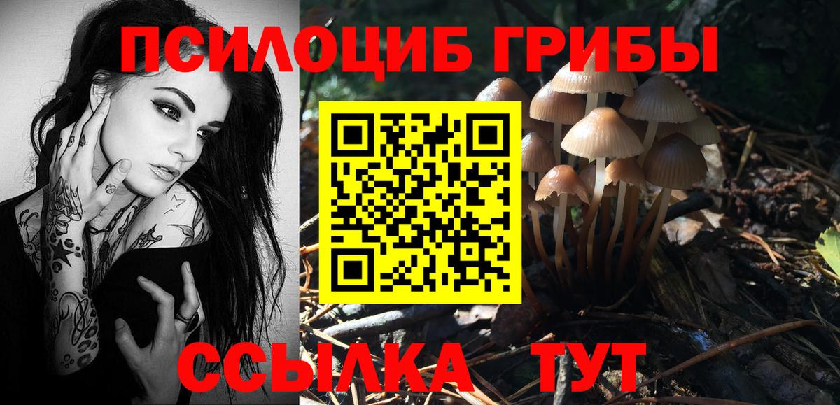 Псилоцибиновые грибы Psilocybine cubensis Вятские Поляны
